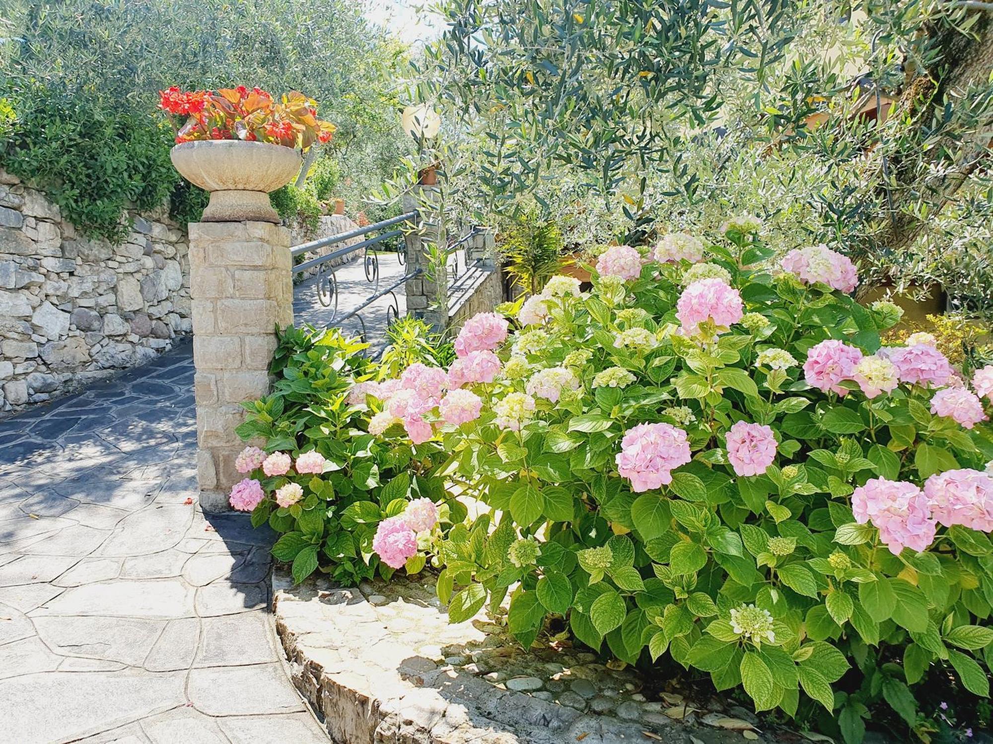 Casa Valenti Apartment Brenzone sul Garda Exterior photo
